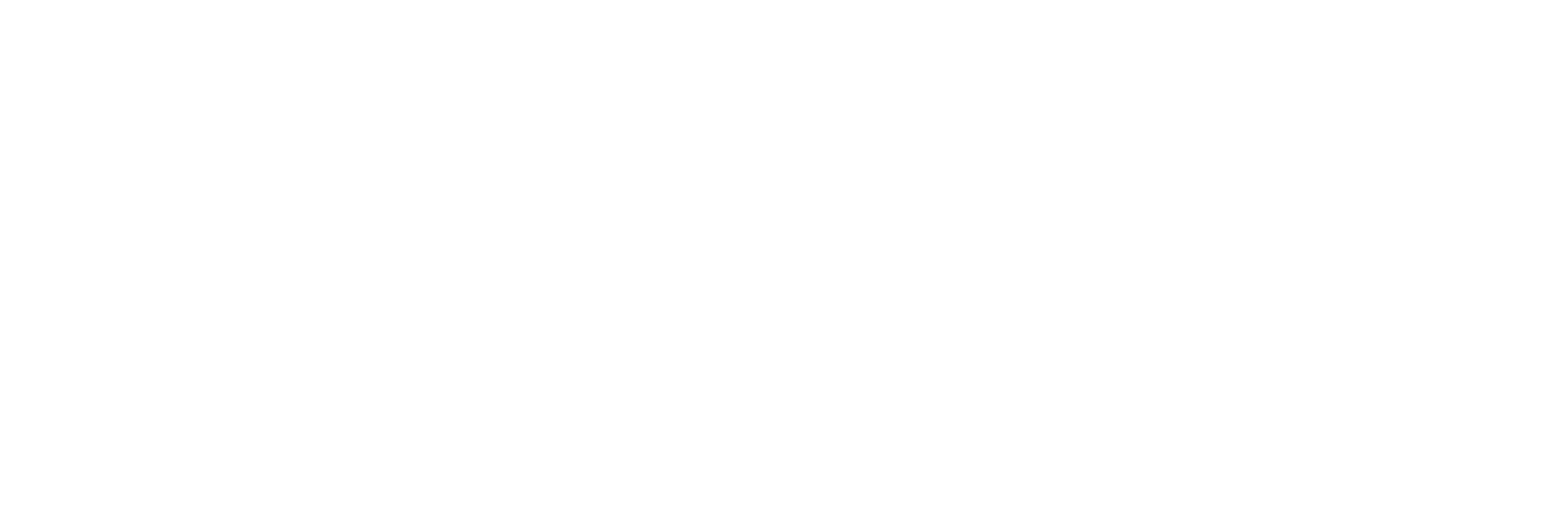 RIVO staff t-shirt graphic