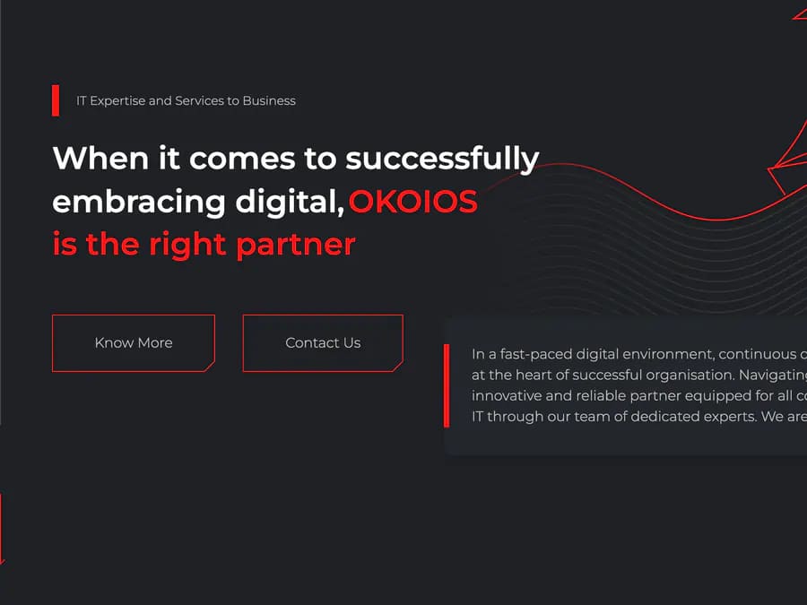 Page d'accueil d'OKOIOS Consulting — expertise et services informatiques pour les entreprises
